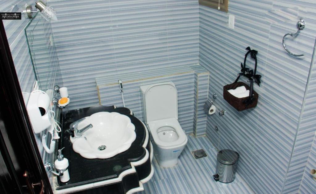 Aswan Plaza - Share Apartment Dış mekan fotoğraf